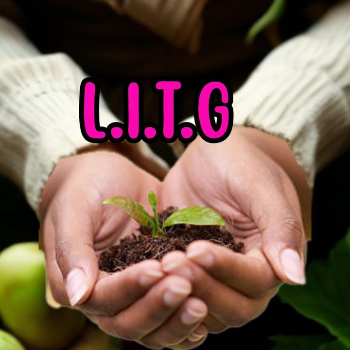 LifeInTiffianysGarden👩🏾‍🌾🌱