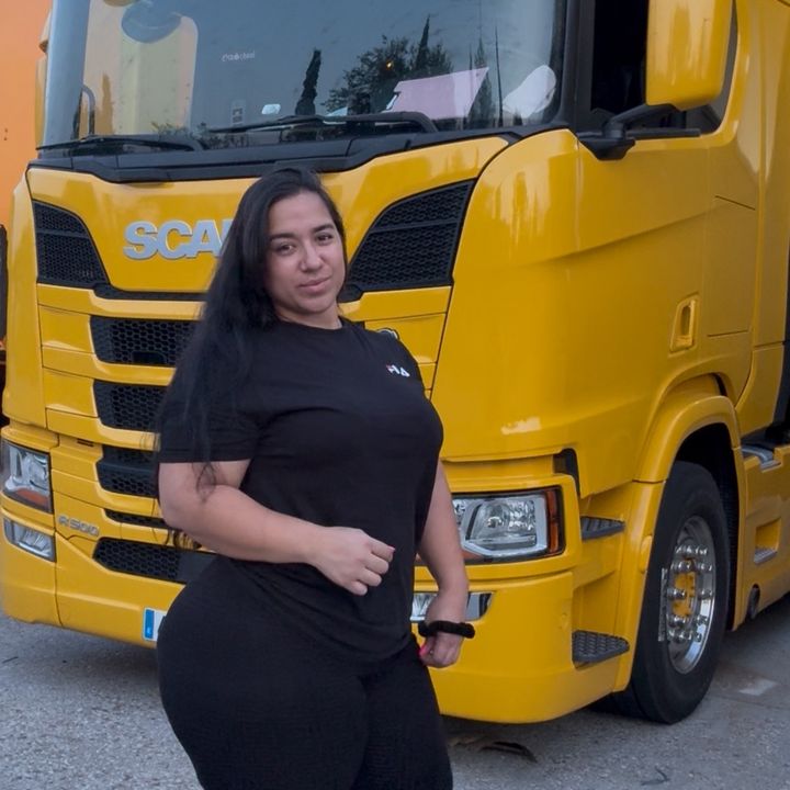 lacamioneralinita