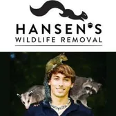 Hansens Wildlife