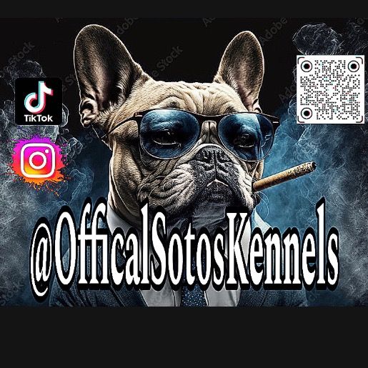 Official Soto’s Kennels