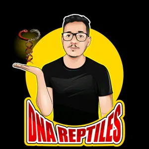 Dna Reptiles
