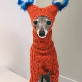 No