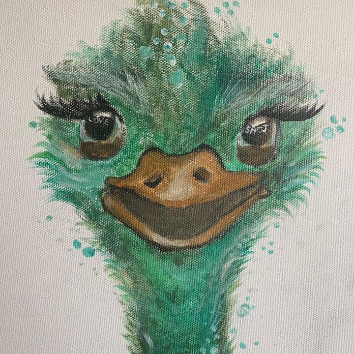 Ostrich Nation