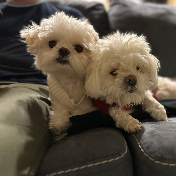 Mochi and Nori