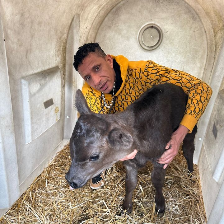 الراعي في اروبا🐄🐂🐑🐇🐓
