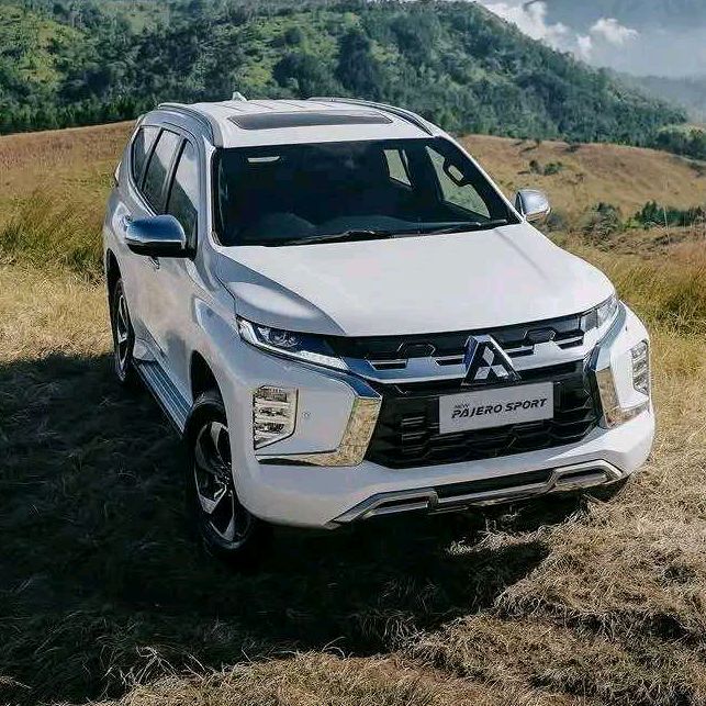Siswanto putra