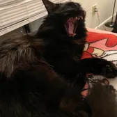 charlie_and_wednesday