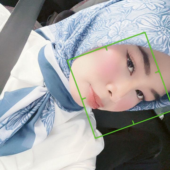 alya