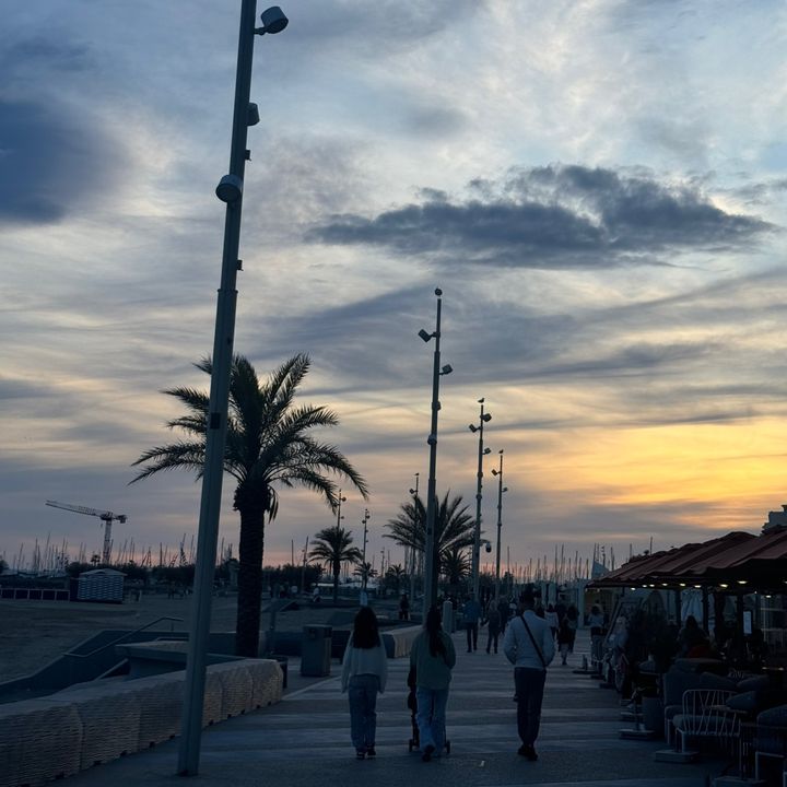 بوحمد