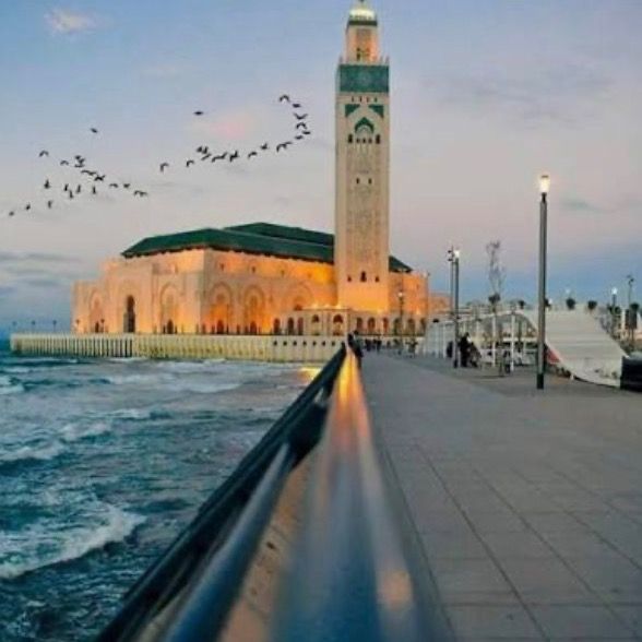 Sabarً 🇲🇦🇪🇺🕋🏜️🌵صبار