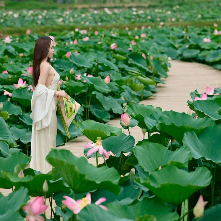 Ngọc Ánh🌷