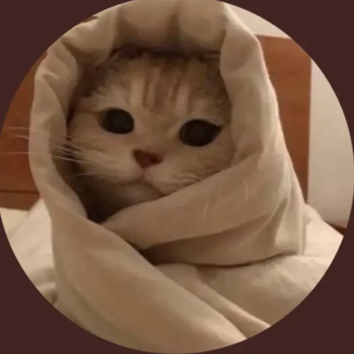 Out Of Context Cats