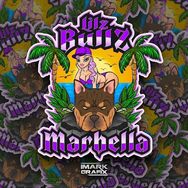 Lilz Bullz Marbella