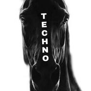 Techno Only