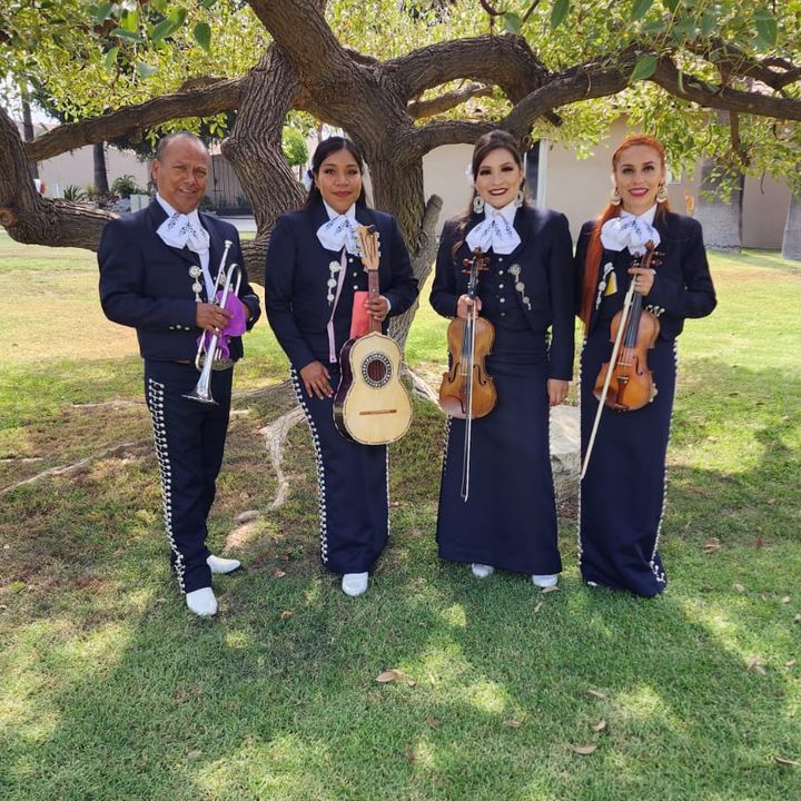 Mariachi mi Jalisco 🎻🎺✌🏾