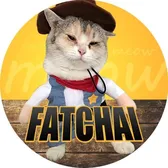 FatChaCat