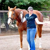 BRi_horses & therapy!
