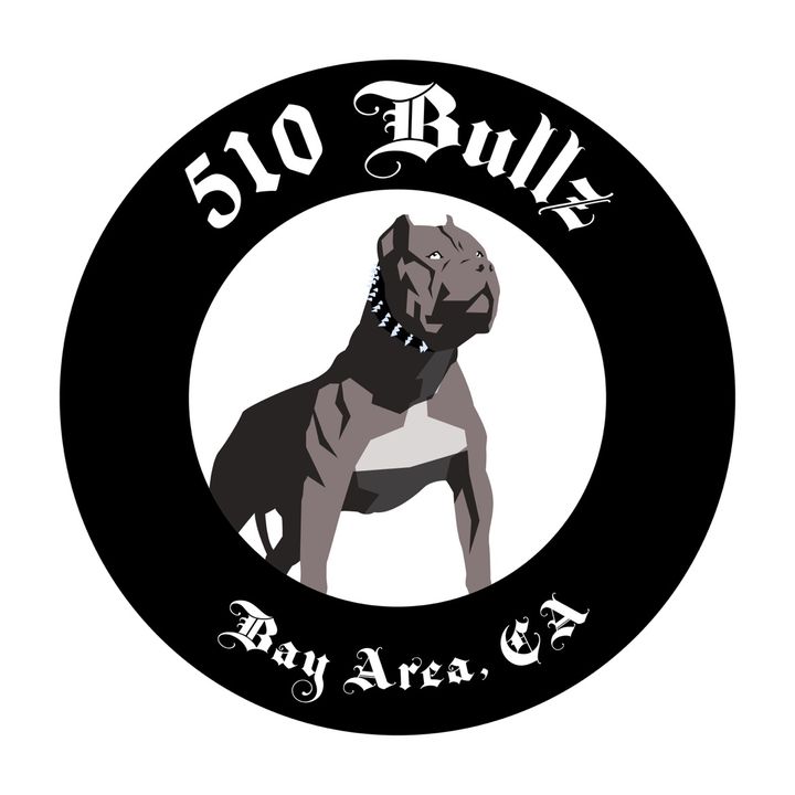 510BULLZ