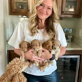 PuppyLove Poodles