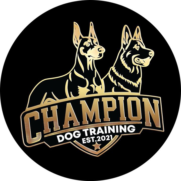 Champion Dog Training