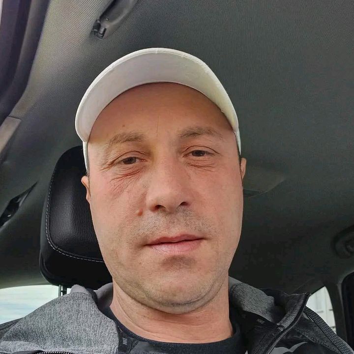 pelicanu