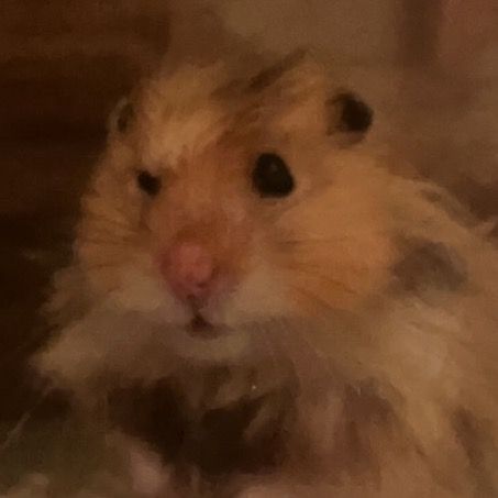 vinnie:)