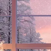 nostalgic vibes