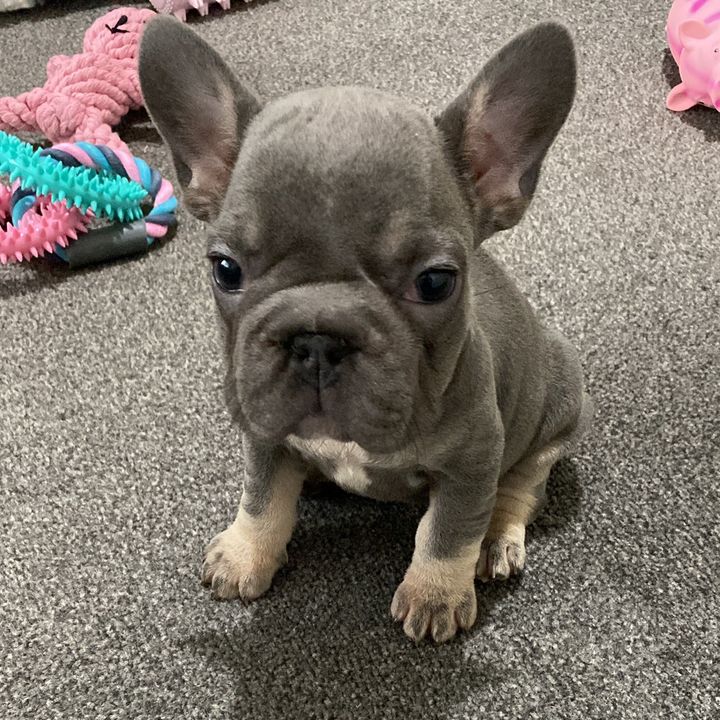 Missy