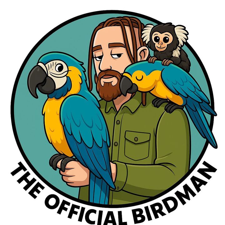 Bird Man 🦅