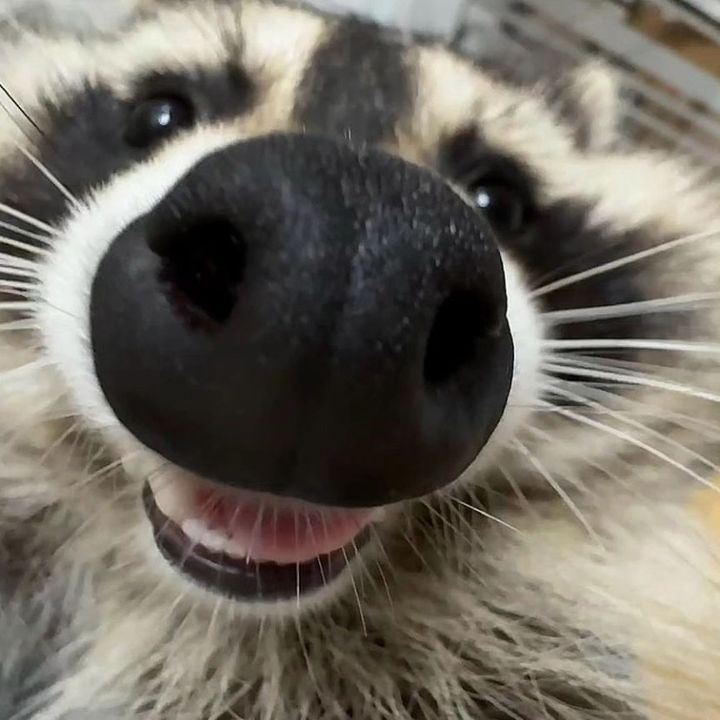 <3
