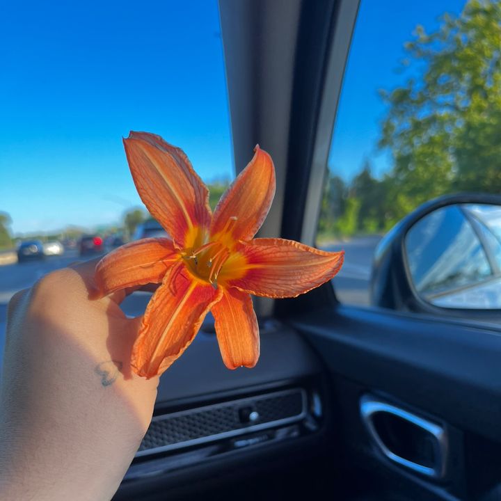 𝐊𝐢𝐦𝐛𝐞𝐫𝐥𝐲