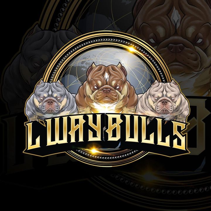 LWay Bulls