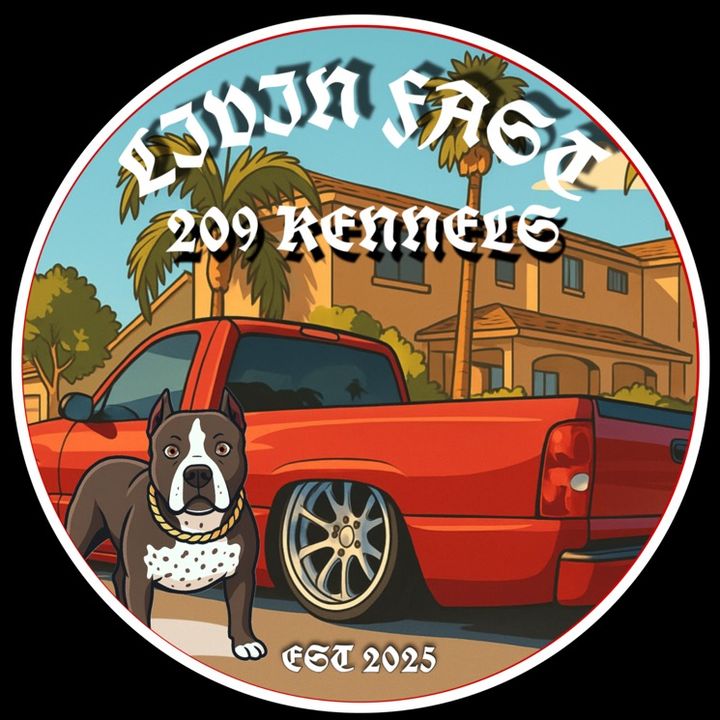Livin’Fast209