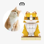 Meow Institute😻