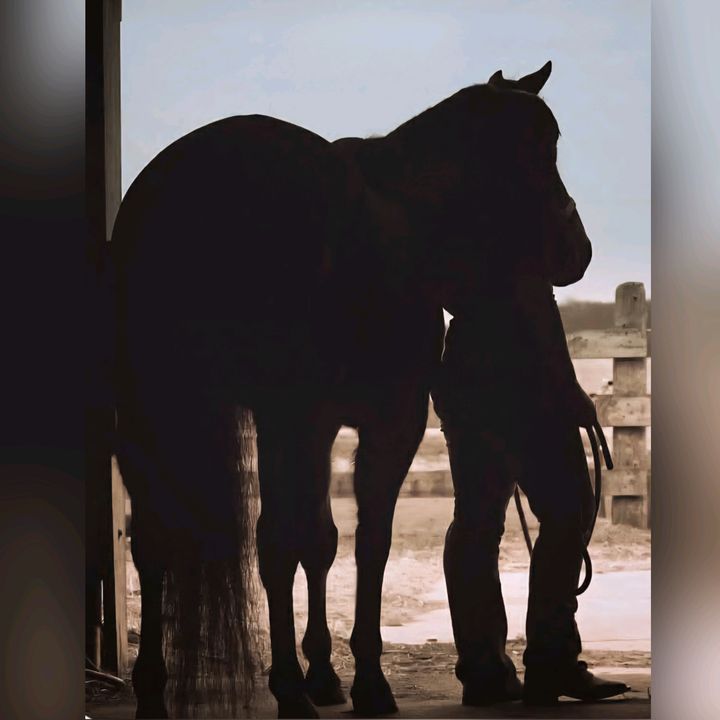 Wisconsin_Cowgirl Billie