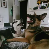 Luna and Freyja