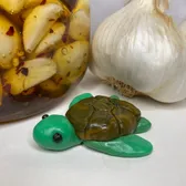 Hungry Honu