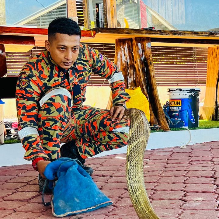 Muhd fakhrul rodzi