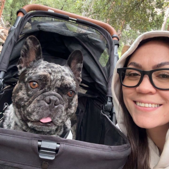 lifewithlizandlouie