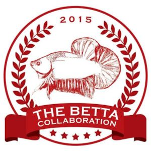 thebettacollaboration