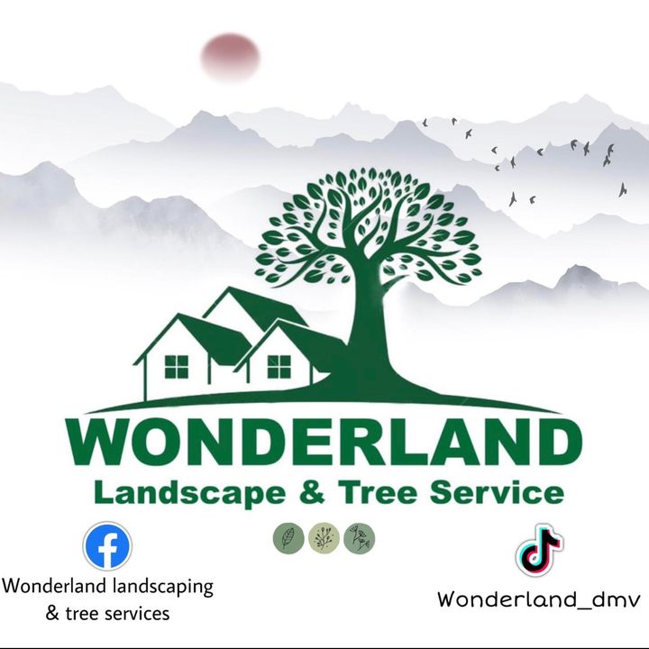 TÍO_wonderland💚🫡💚