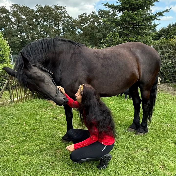 ✨Team Sandra/Kira✨❤️🐴 🍀