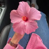 🌷✨Pétalosyrosas_da✨🌷