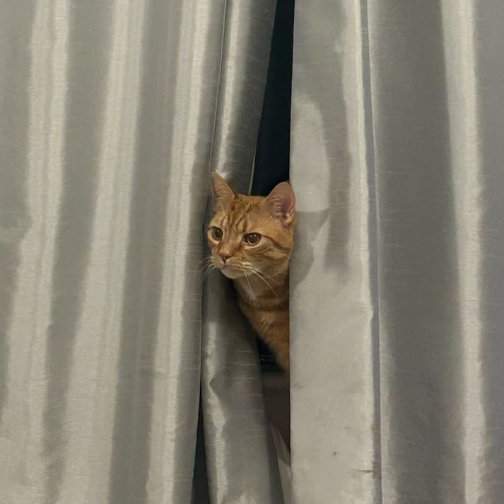 Roo 😼