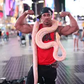 NYCbirdman