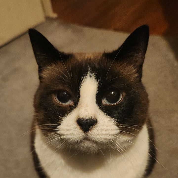 Stormie