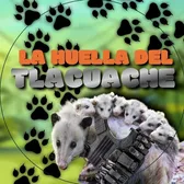 La Tlacuachiza