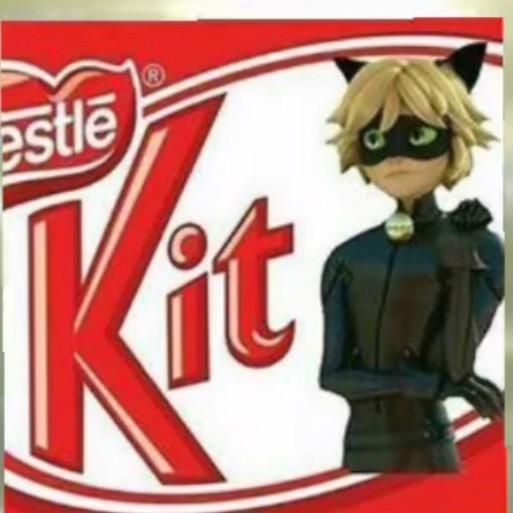 miraculousfunnymomentss
