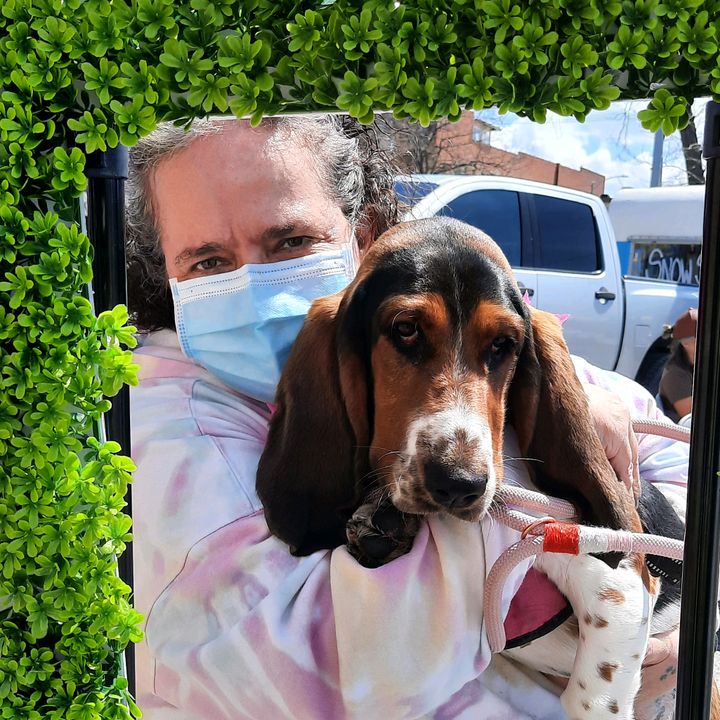 eleanormaythebasset