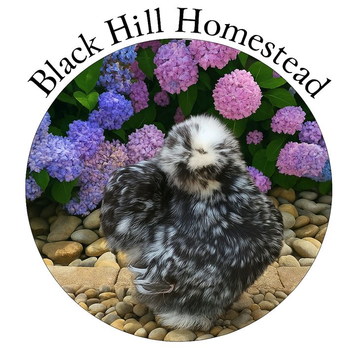 Black Hill Homestead